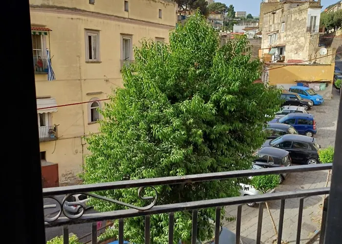 Town * Napoli